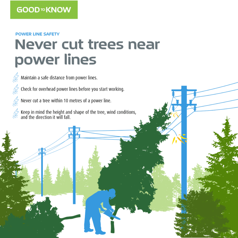 Never cut trees near power lines Newfoundland & Labrador Hydro