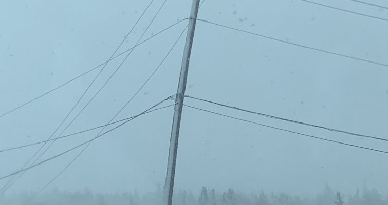 Damaged poles during a snowstorm with trees in the background.